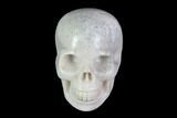 Realistic, Polished Fossil Coral Skull #116582-1